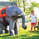 Center for the visual arts accepting grant applications