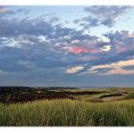 Photographer captures untamed Katama