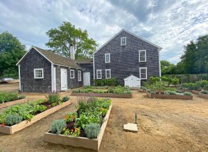 Cooke House and Legacy Gardens - The Martha's Vineyard Times