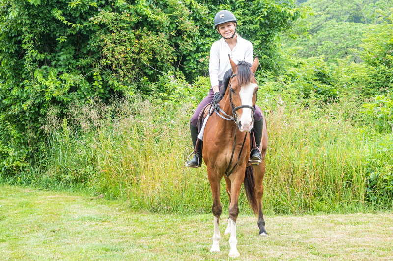 Horses are good for the soul The Martha's Vineyard Times
