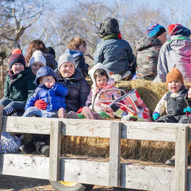 Turkey trot, music, food, and more