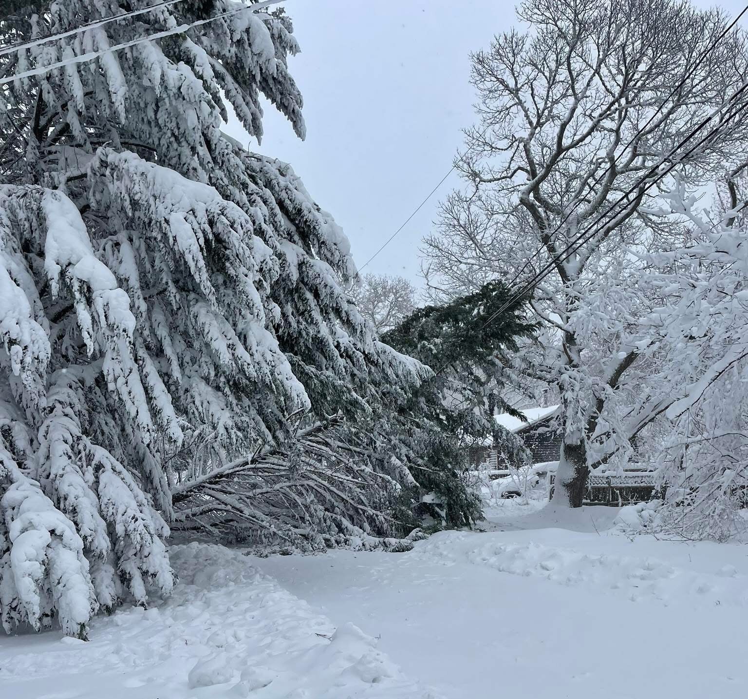 Travel ban issued for Martha’s Vineyard