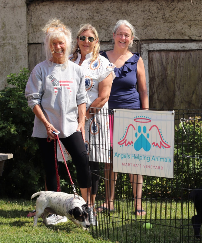 Angels Helping Animals Worldwide