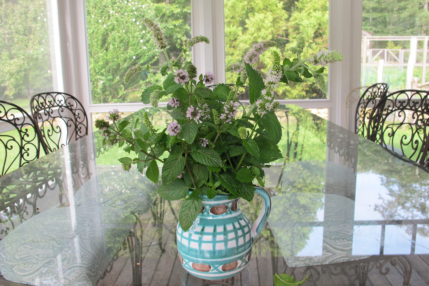 Decorative-Mint.JPG