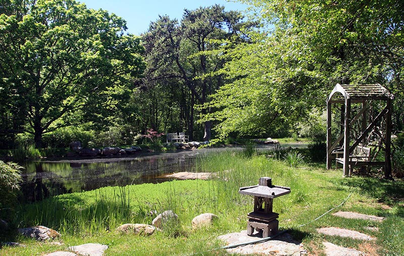 landscape 2.jpg