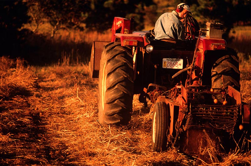 shaw-tractor.jpg