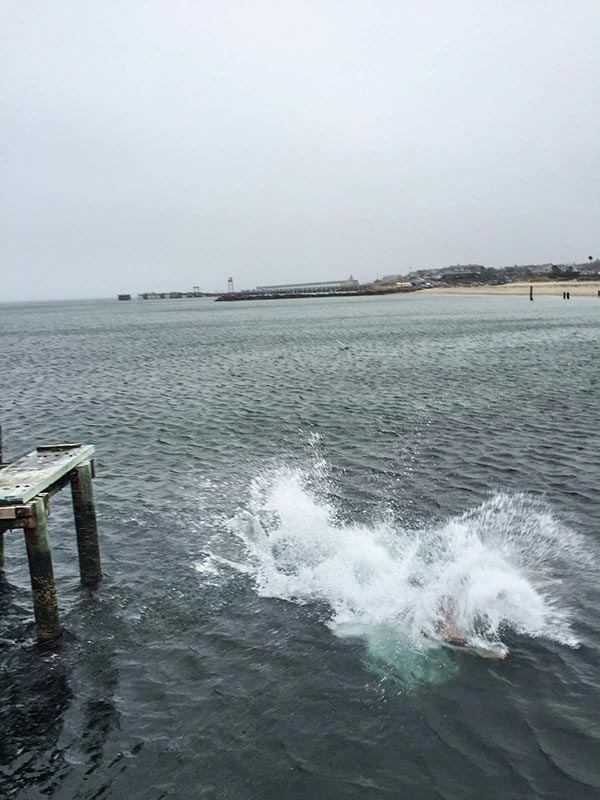 Chrismtas-swim-adam-herman3