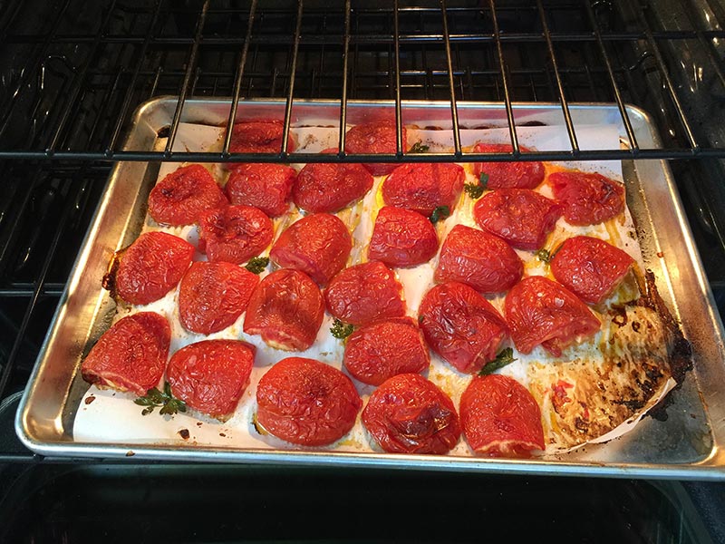 Tomatoes_02.JPG