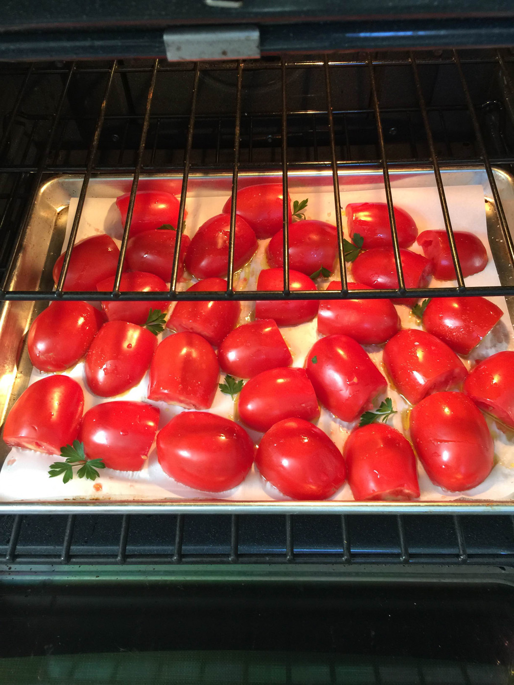 tomatoes_01.JPG