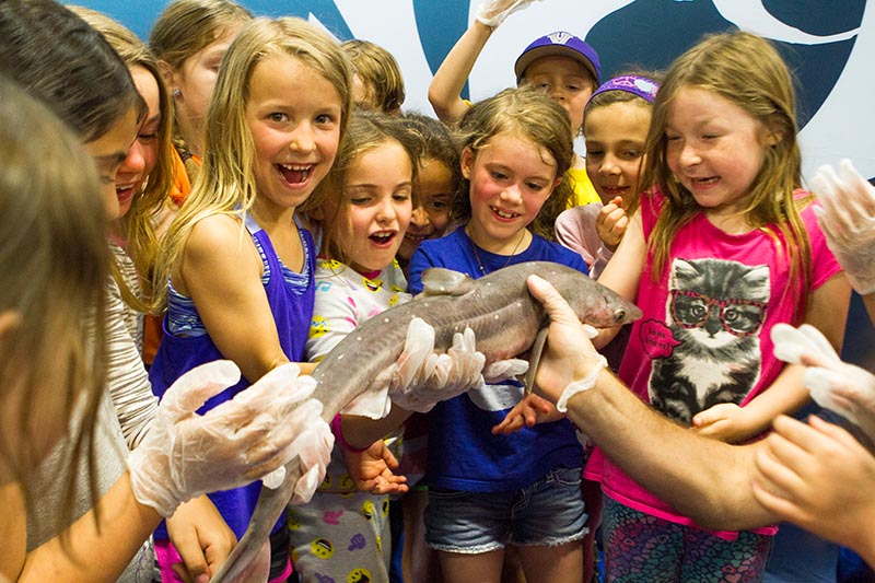 SAR_west-tisbury-school-reds-fish_04.jpg