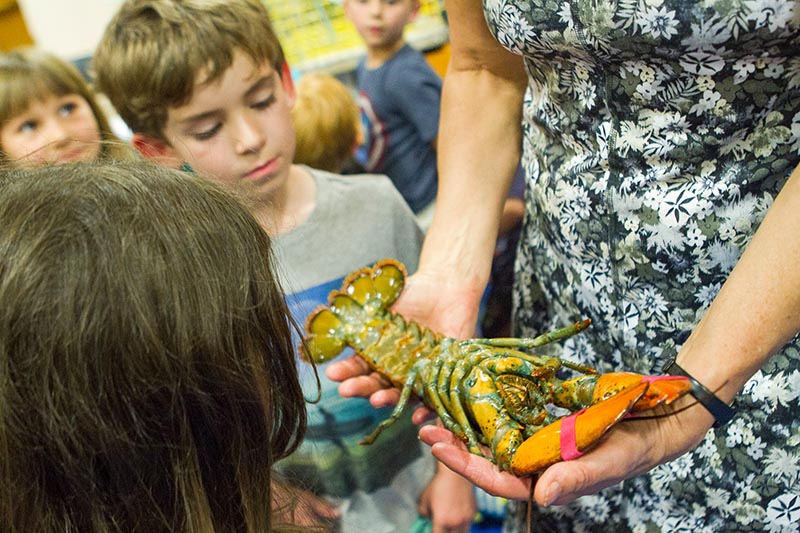 SAR_west-tisbury-school-reds-fish_14.jpg