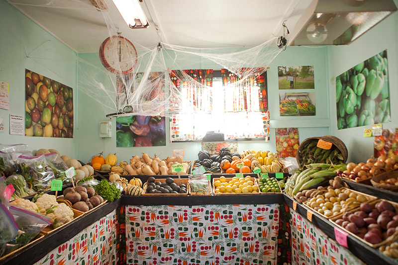 SAR_Ghost-Island-Farm_01.jpg