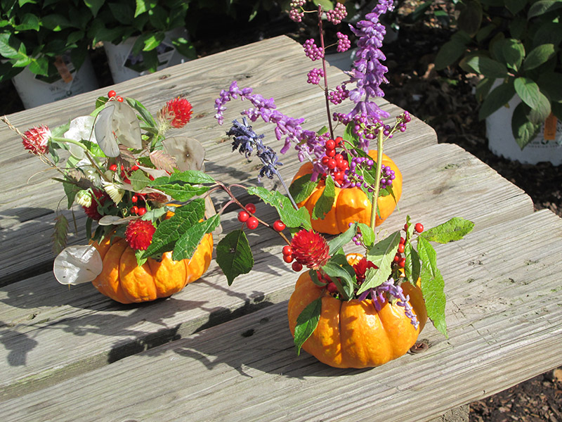 pumpkin craft.JPG