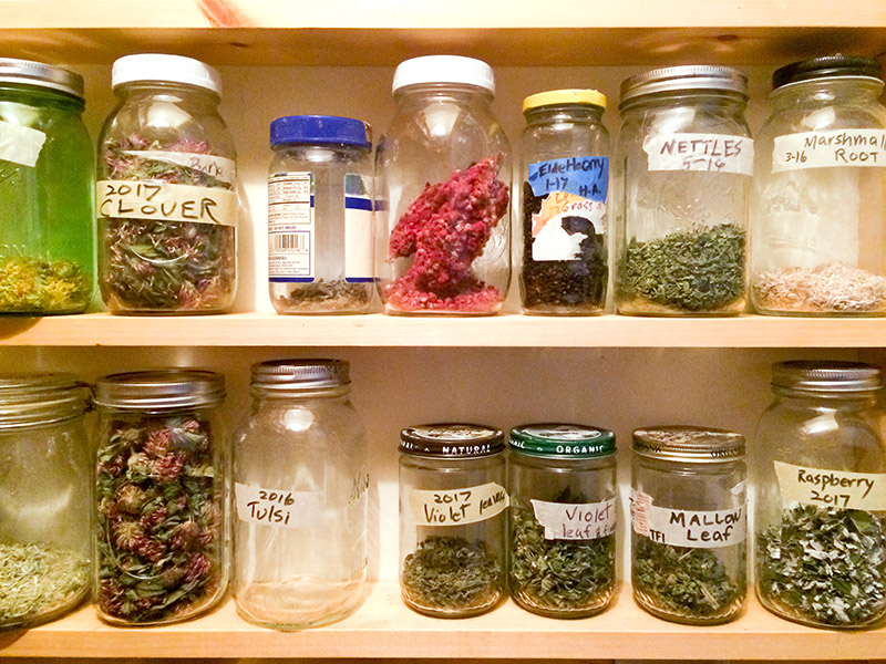 pantry_shelves4_lilykmorris