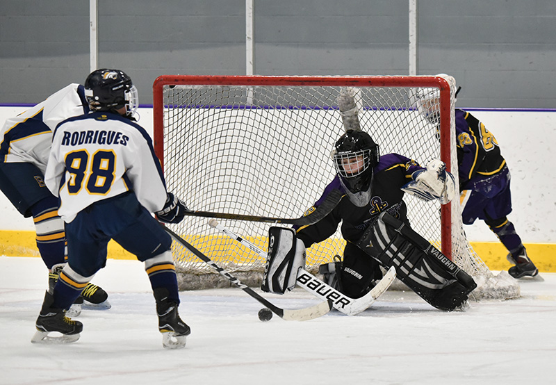 No6 PeeWeeGoalie