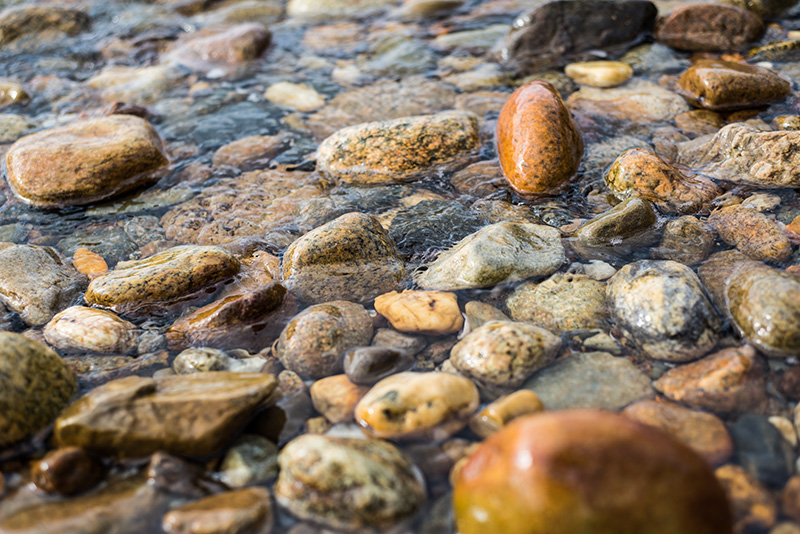The rocky shore at Squibnocket.