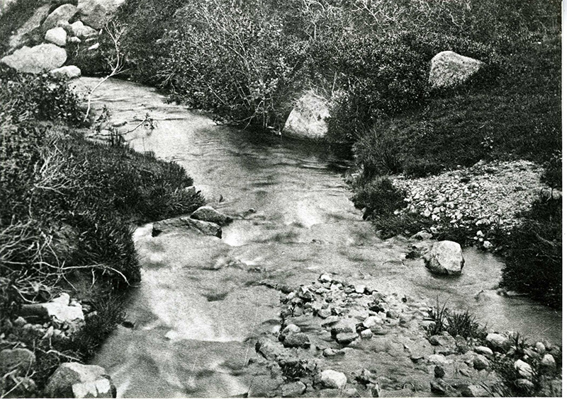 Roaring Brook.jpg