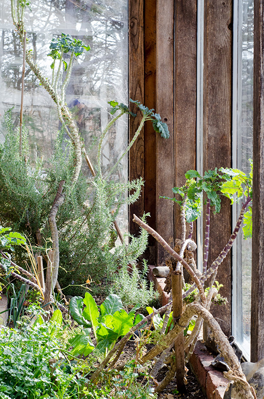 Marg_greenhouse_LKMorris-7.jpg