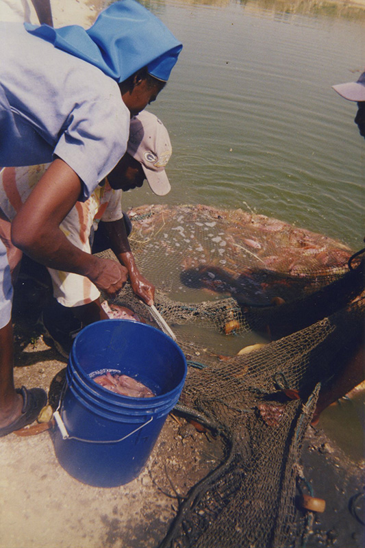 Fish-Farm-Haiti005.jpg