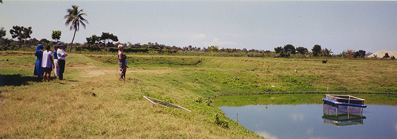 Fish-Farm-Haiti007.jpg