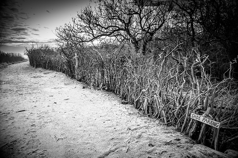 Footpath, Lucy Vincent Beach 2017, by jacqueline Abodeely.jpg
