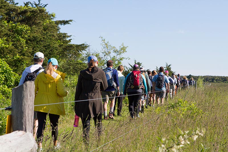 SAR_Cross_Island_Hike_07.jpg