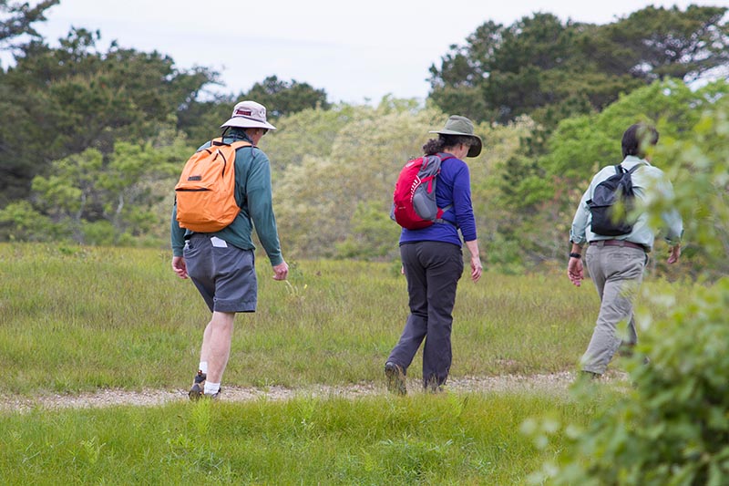 SAR_Cross_Island_Hike_16.jpg