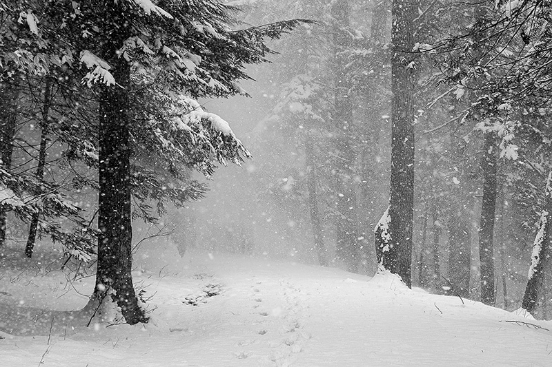 Squaw Rock Trail 2017, by Andrea Dawson.jpg