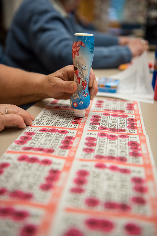 GEM_Bingo_Judy-Silvia_18
