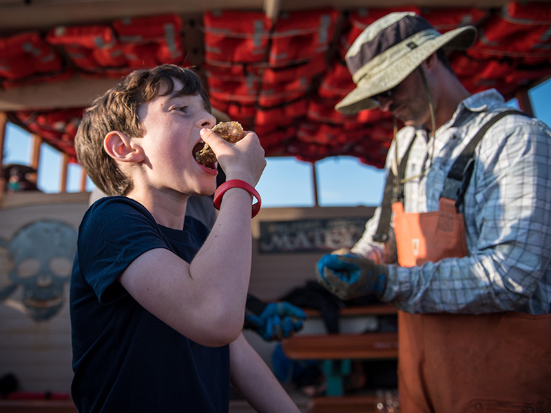 GEM_Farm-Field-Sea_Pirate-Adventures_Cottage-City-Oysters_Declan