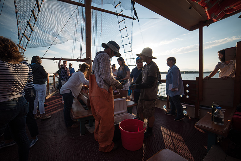 GEM_Farm-Field-Sea_Pirate-Adventures_Greg-Martino_Dan-Martino_003