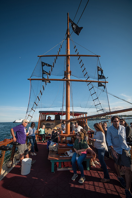 GEM_Farm-Field-Sea_Pirate-Adventures_Rick-Karney_002