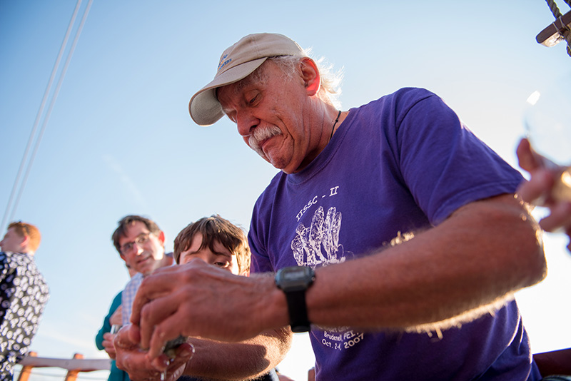 GEM_Farm-Field-Sea_Pirate-Adventures_Rick-Karney_09.jpg