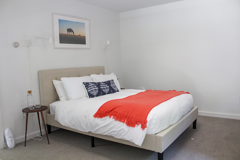 BB_The-Local_Lamberts-Cove-Inn_Design_18.jpg