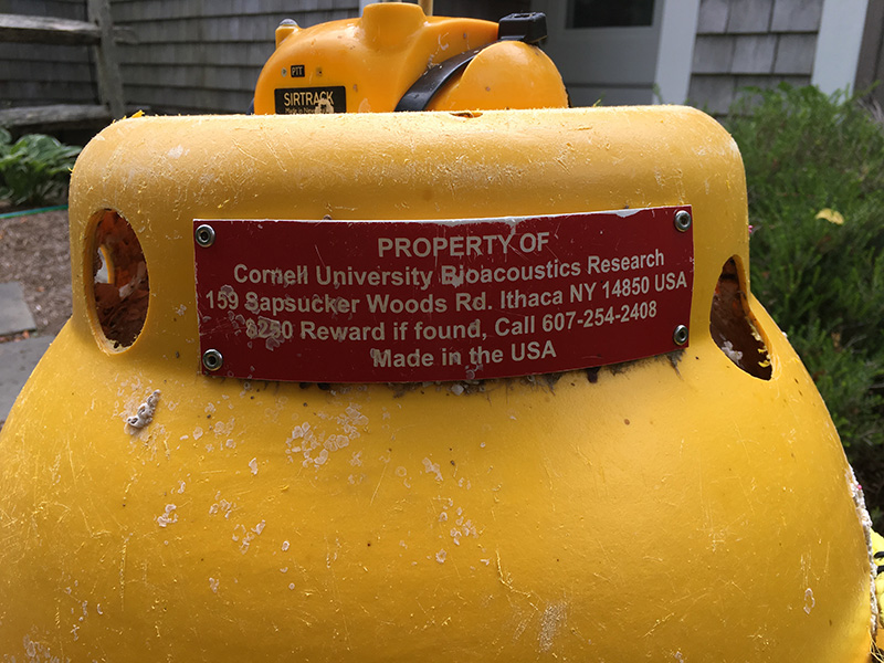 Buoy_Quinlan-Slavin_03.JPG