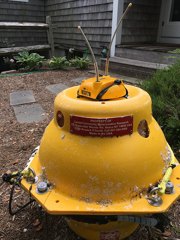 Buoy_Quinlan-Slavin_04.JPG
