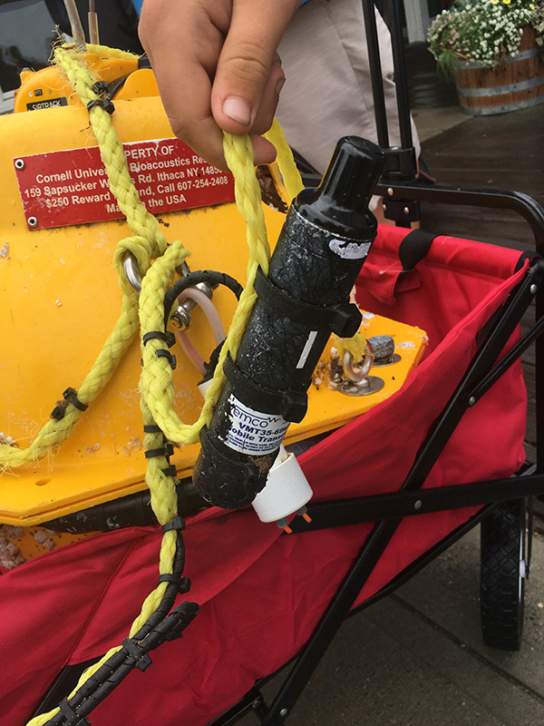 Buoy_Quinlan-Slavin_05.JPG