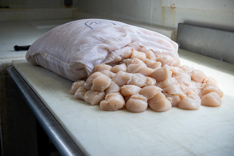 CB_Sea-Scallops_05.jpg