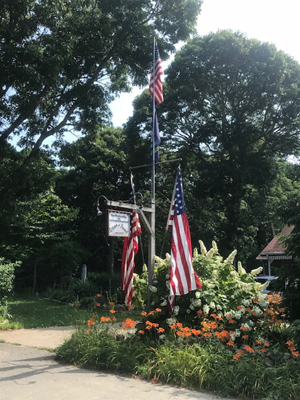 Fourth-of-July_Rob-Gatchell_Flags
