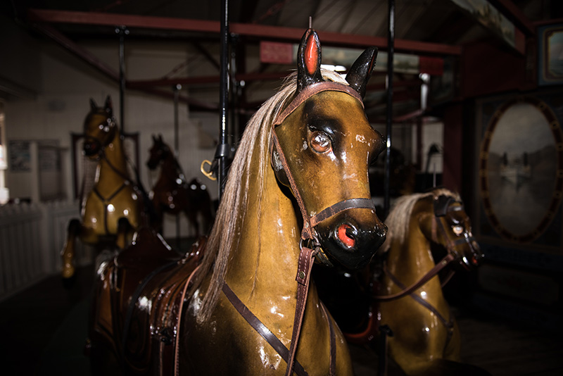 GEM_John-Anderson_Flying-Horses_04.jpg