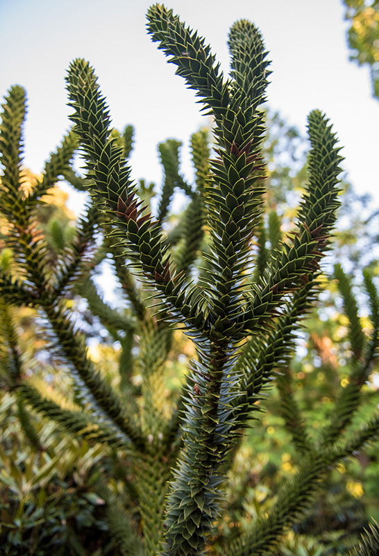 GEM_Polly-Hill-Arboretum_Tim-Boland_16.jpg