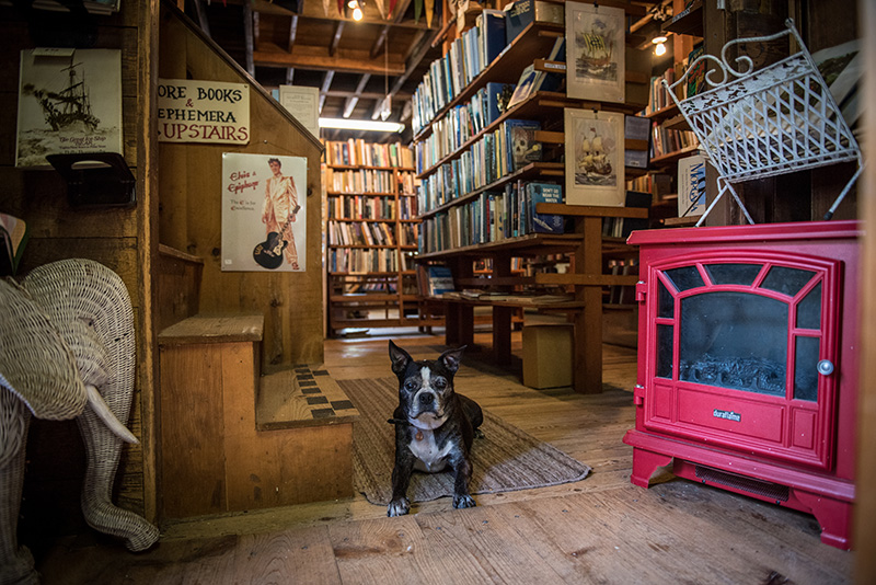 GEM_The-Book-Den_Huxley_11.jpg