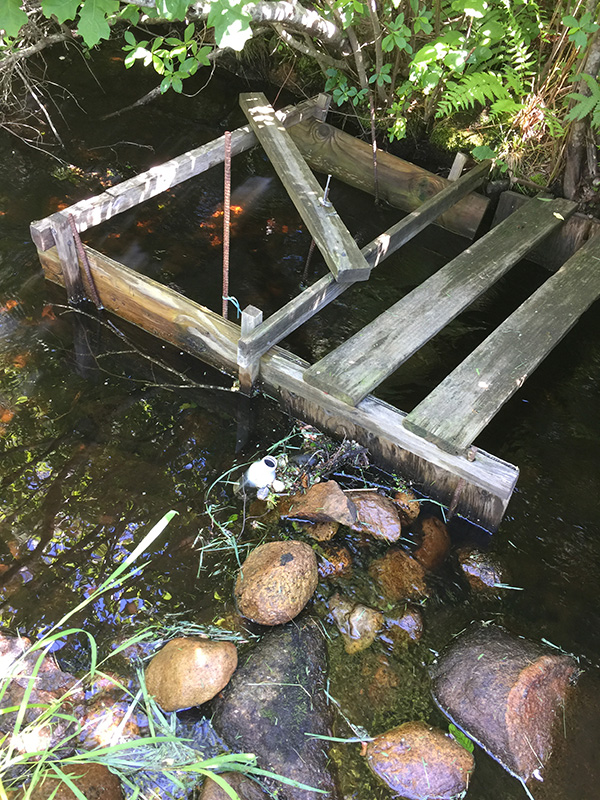 Mill-Pond_02.JPG