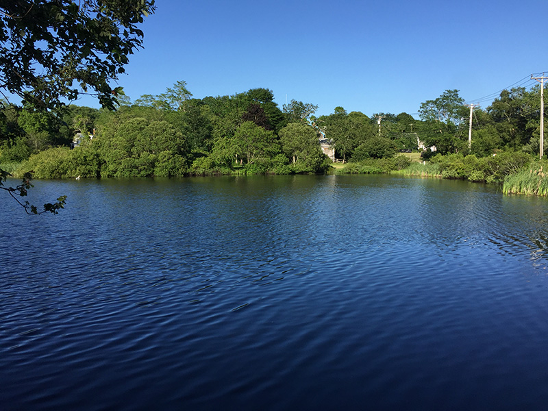 Mill-Pond_04.JPG