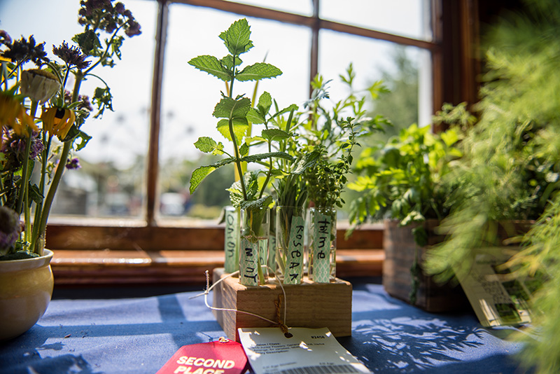 Angus Vincent’s herbal arrangement for the junior flowers division.