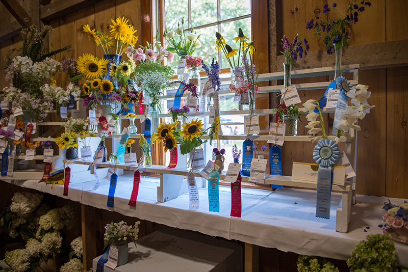Flower enteries brighten the exhibit hall.