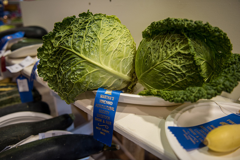 Carol Collins’ first place cabbage.