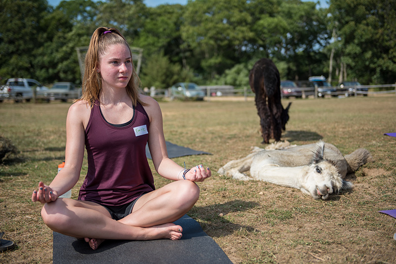 GEM_Island-Alpaca_Alpaca-Yoga_06.jpg