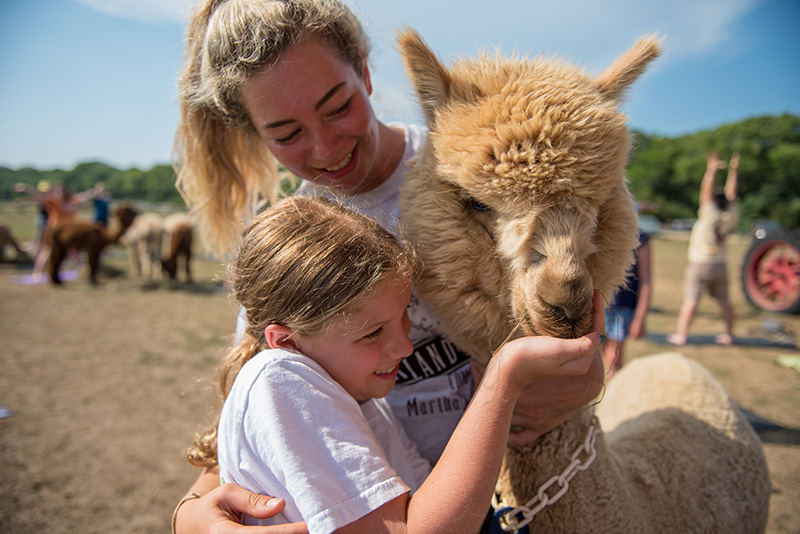 GEM_Island-Alpaca_Alpaca-Yoga_14.jpg