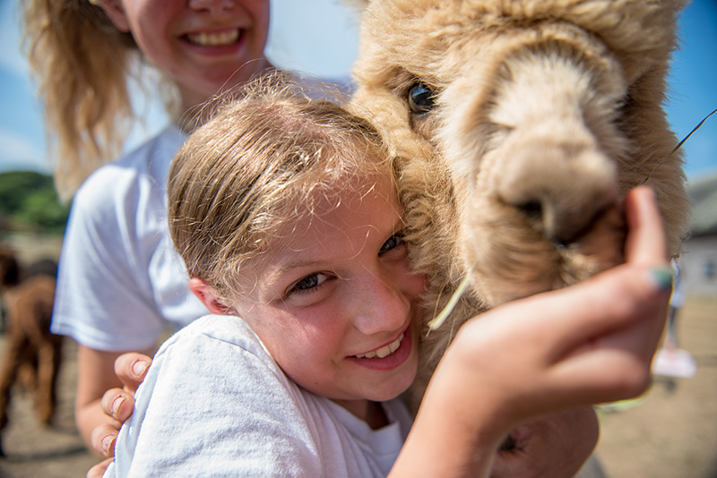 GEM_Island-Alpaca_Alpaca-Yoga_15.jpg